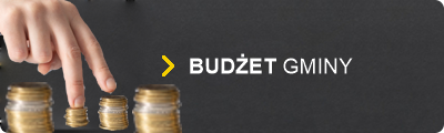 Ikona logo Budżet